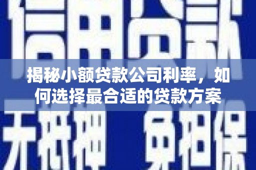 城关揭秘小额贷款公司利率，如何选择最合适的贷款方案