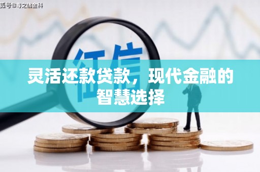 薛城灵活还款贷款，现代金融的智慧选择