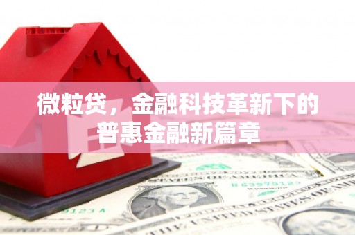 仑背微粒贷，金融科技革新下的普惠金融新篇章