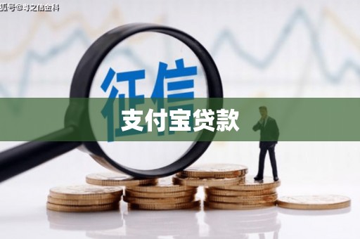 安图支付宝贷款