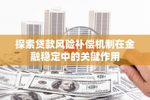 西贡探索贷款风险补偿机制在金融稳定中的关键作用