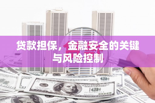 云浮贷款担保，金融安全的关键与风险控制