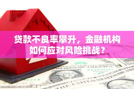 平度贷款不良率攀升，金融机构如何应对风险挑战？