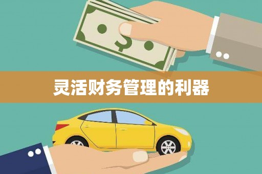 普格灵活财务管理的利器