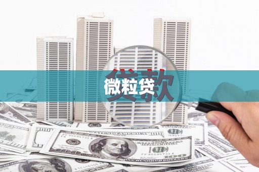 涞水微粒贷