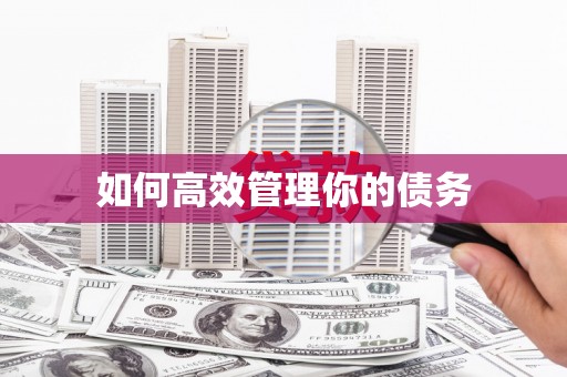 达孜如何高效管理你的债务