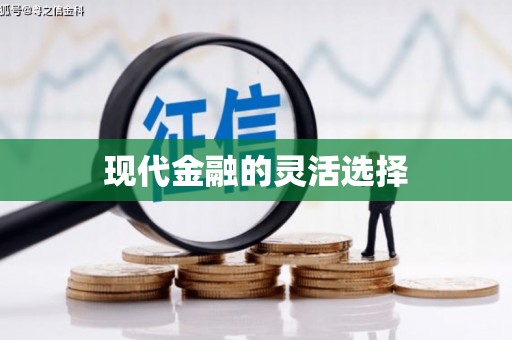 独山现代金融的灵活选择