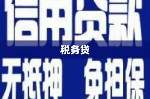瑞穗税务贷
