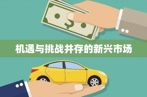 扶绥机遇与挑战并存的新兴市场