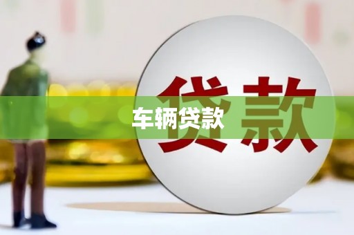 清水河车辆贷款